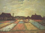 Vincent Van Gogh Bulb Fields (nn04)